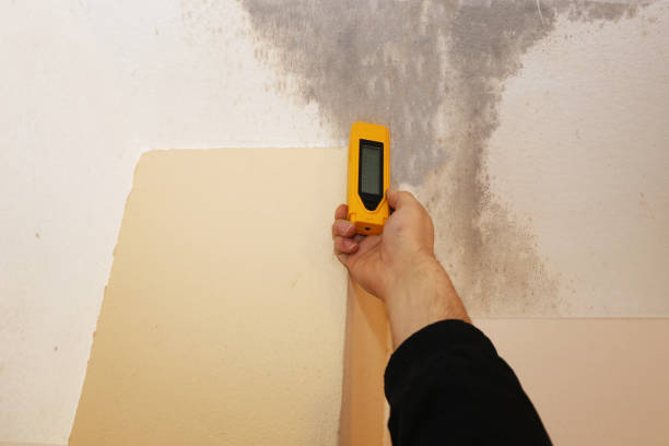 Best HVAC Mold Inspection and Cleaning  in Arnold, CA